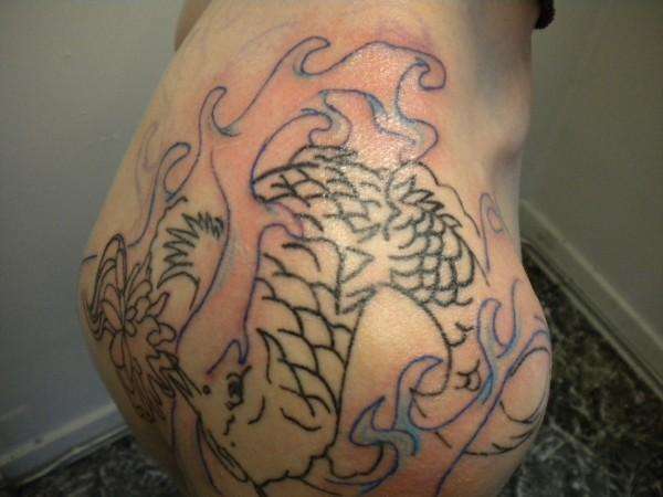 the koi i did a month ago tattoo