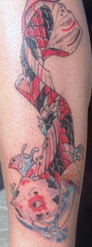 Koi Fish tattoo