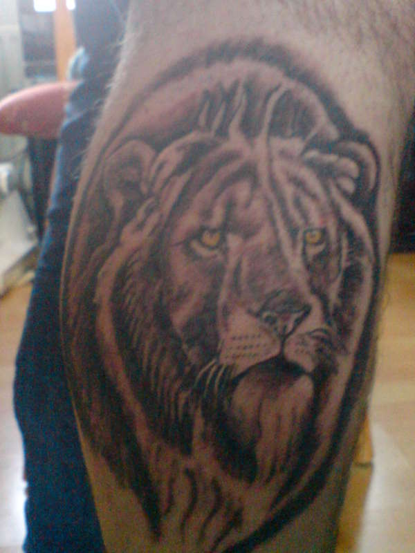 Lion tattoo