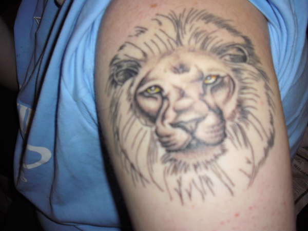 Lion tattoo