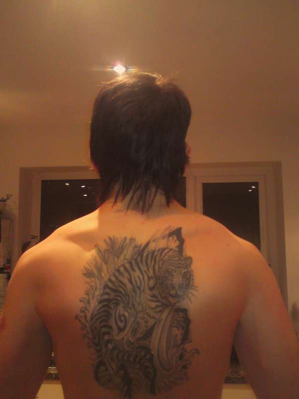 Tiger on my back tattoo