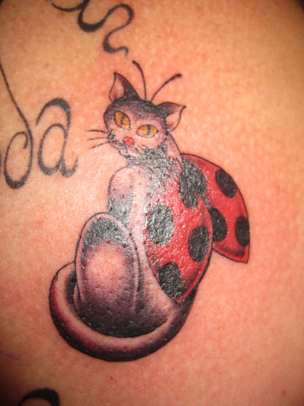 cat ladybug, done by Kaylene @ Wicked Ink Penrith Australia tattoo