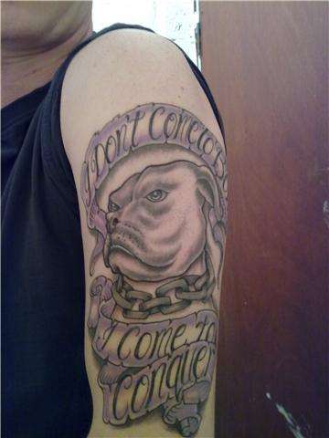 Pit Bull tattoo