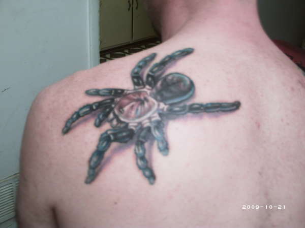 3-D spider/tarantula tattoo