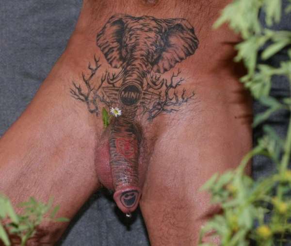 Elephant on the loose. tattoo.