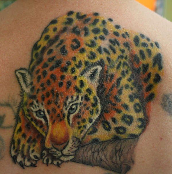Leopard recent re-ink tattoo