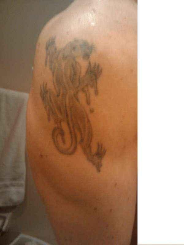 Before tattoo