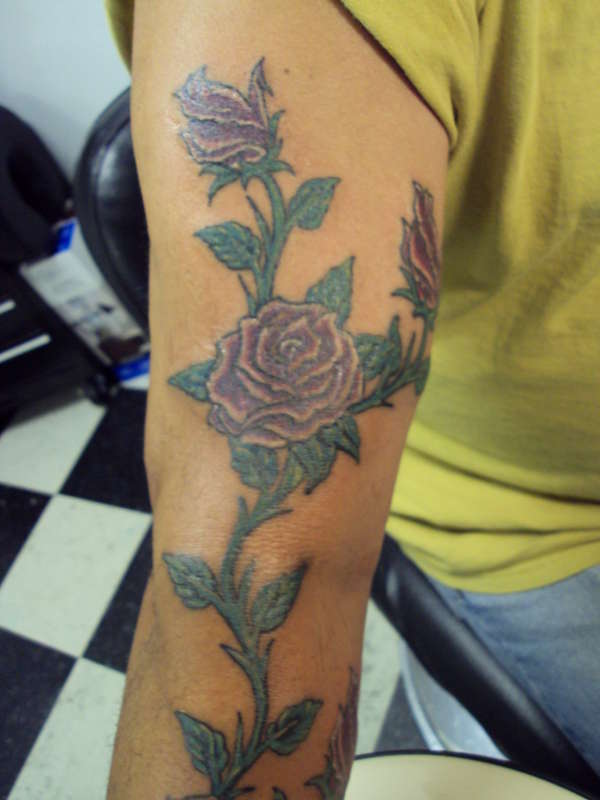 roses tattoo