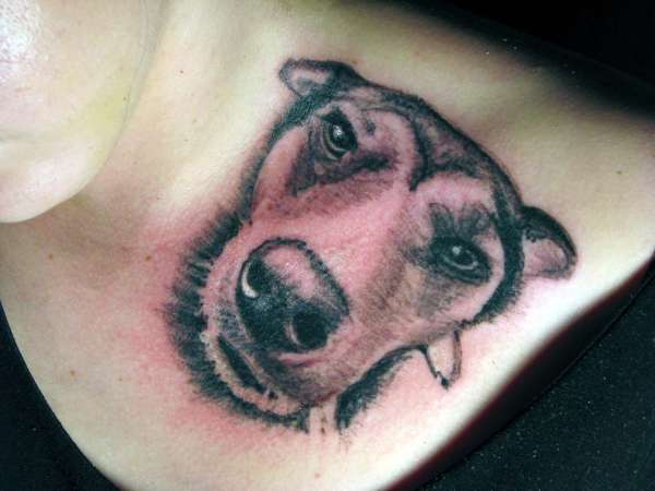 dog tattoo tattoo