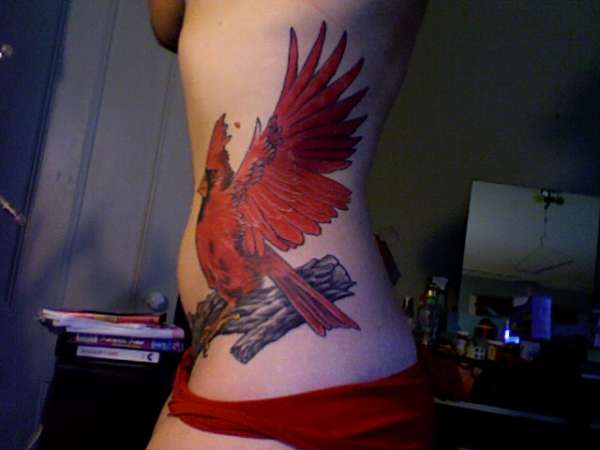 cardinal - session 4 tattoo