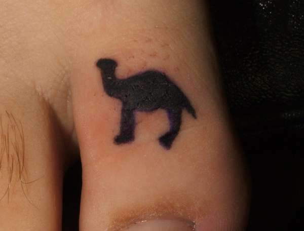camel toe tattoo.