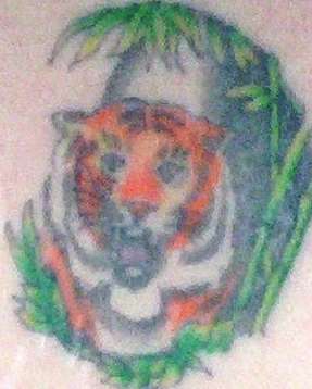 Tiger tattoo