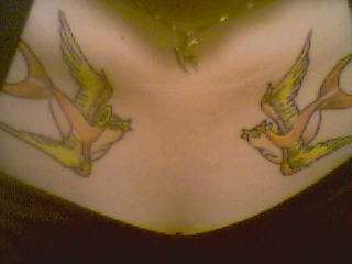 swallows tattoo