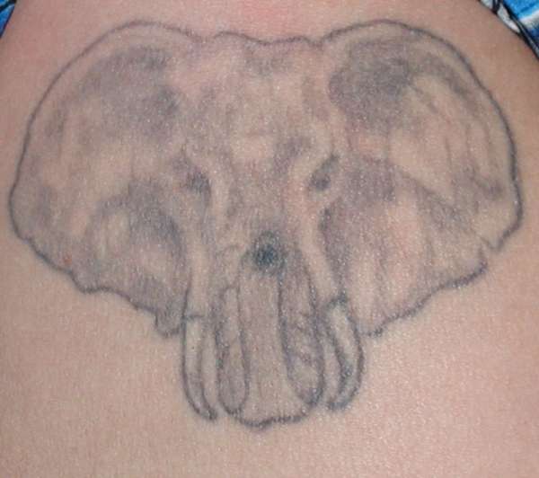 Elephant Bull tattoo