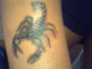 Scorpion tattoo