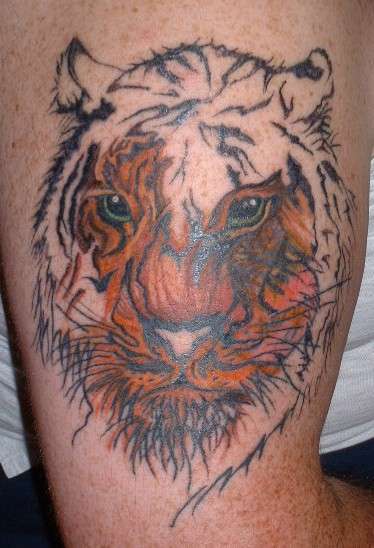 My tiger 2 tattoo