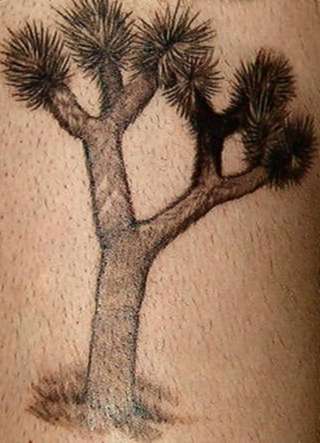 Joshua Tree tattoo