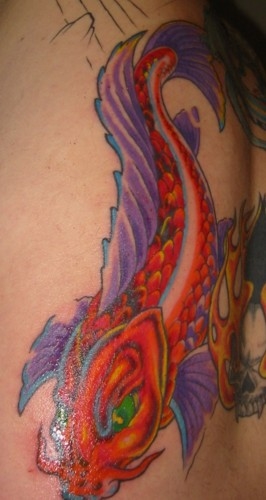 New Koi in back peice tattoo