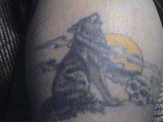 Wolf Tattoo tattoo
