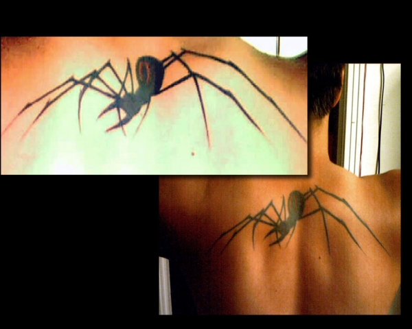 spider tattoo