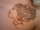 Riverbear31 tattoo