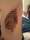 Leo tattoo
