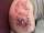 Bo@Legacysink tattoo