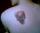 daley tattoo