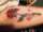 popke tattoo