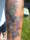 Jokerman1235 tattoo