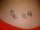 Bobb tattoo
