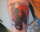 Edd tattoo