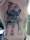 LizLauren tattoo