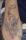 the batman tattoo