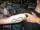 Chris tattoo