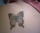 zeerio tattoo
