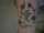 Bobb tattoo