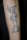 J.R. tattoo