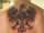 dalejiw25 tattoo