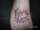 Ink2thebone tattoo