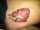 Le'Monte tattoo