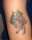 TipTopTattoosRox tattoo