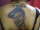 Ink2thebone tattoo