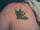 michaek arcouette tattoo