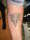 pageplantpoli tattoo