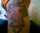 kastat tattoo