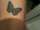 EatMyDick tattoo