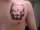 Amstaff tattoo