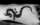 Danni Earnshaw tattoo