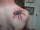 jim tattoo